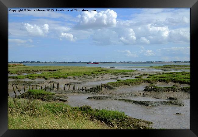 Tollesbury Marshes,  Essex  Framed Print by Diana Mower