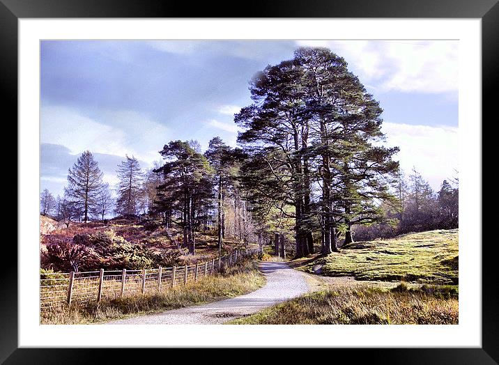  Tarn Howes in Autumn Framed Mounted Print by Irene Burdell