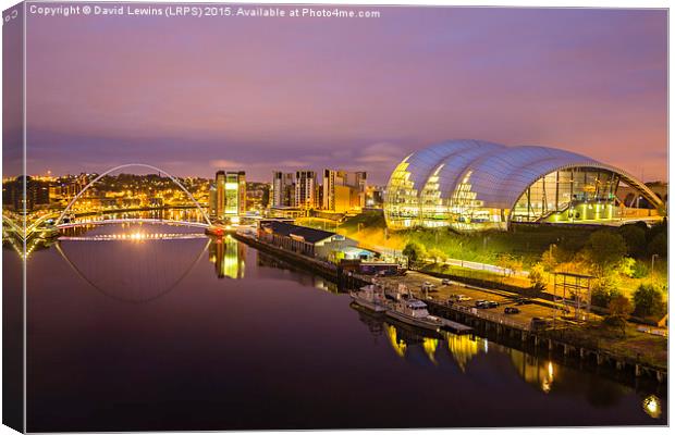 Sage Gateshead Canvas Print by David Lewins (LRPS)