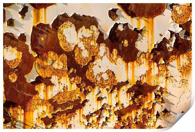  Peeling paint on rust. Print by David Hare