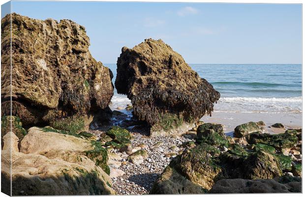 Coastal rock formations at low tide. Tenby, Wales, Canvas Print by Liam Grant