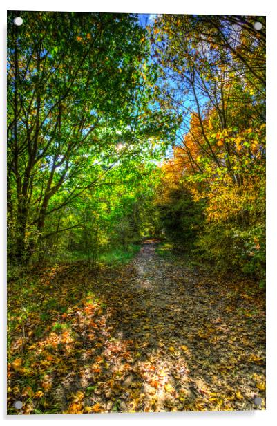 The Autumn Forest Path Acrylic by David Pyatt