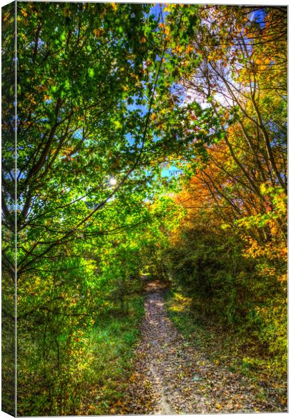 The Autumnal Forest Path  Canvas Print by David Pyatt