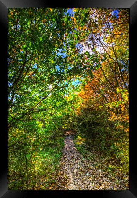 The Autumnal Forest Path  Framed Print by David Pyatt