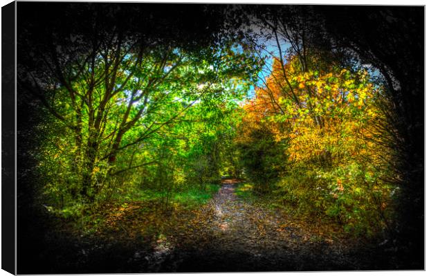 The Early Autumn Forest Vignette  Canvas Print by David Pyatt