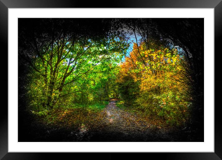 The Early Autumn Forest Vignette  Framed Mounted Print by David Pyatt