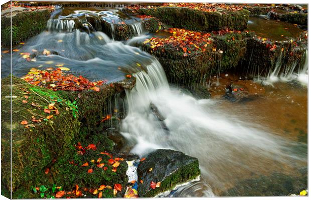  AUTUMN WATERFALLS Canvas Print by andrew saxton