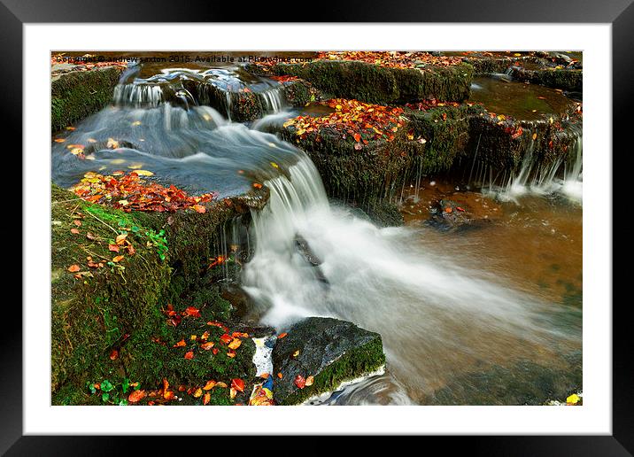  AUTUMN WATERFALLS Framed Mounted Print by andrew saxton