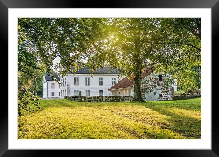 Herrevads Kloster with Sunflare Framed Mounted Print by Antony McAulay