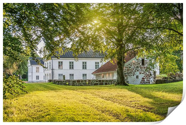 Herrevads Kloster with Sunflare Print by Antony McAulay