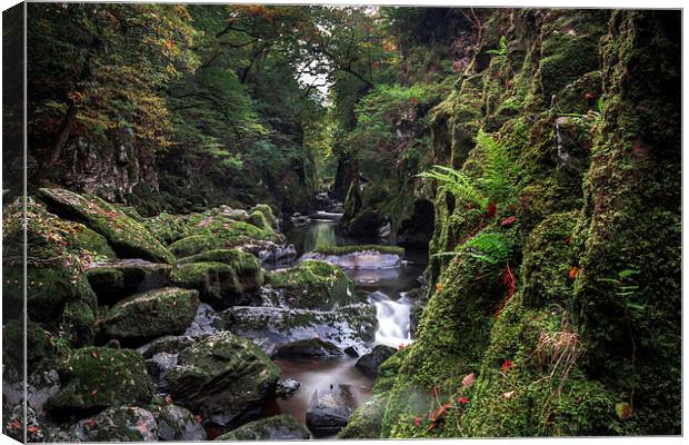  The Fairy Glen Canvas Print by Kevin Clelland