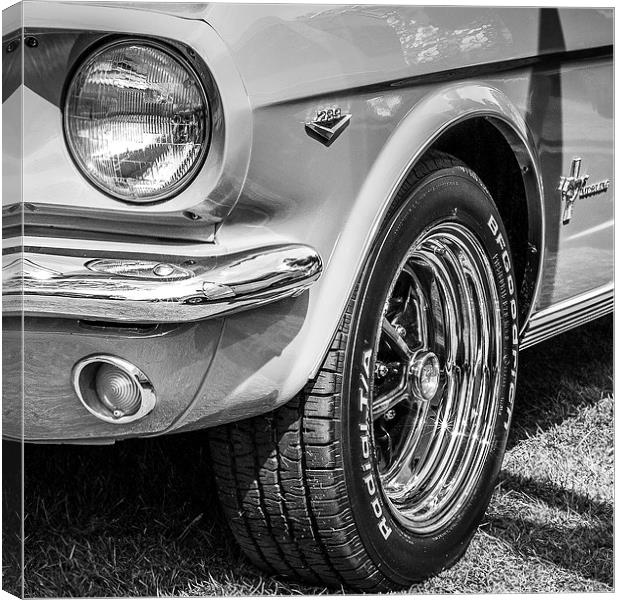Mustang Sparkle Canvas Print by Malcolm McHugh