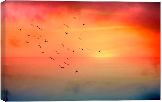  Autumn Skies Canvas Print by Rosanna Zavanaiu