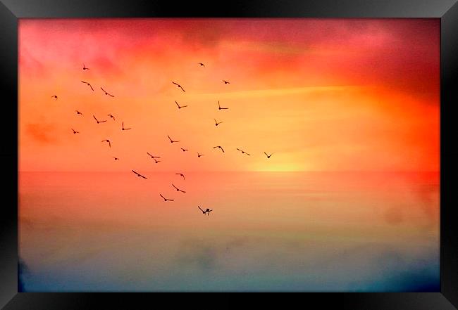  Autumn Skies Framed Print by Rosanna Zavanaiu