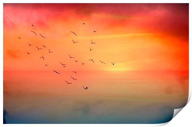  Autumn Skies Print by Rosanna Zavanaiu
