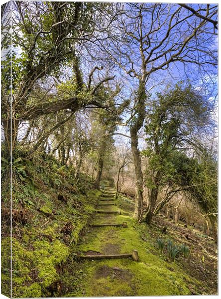 Mossy Steps Canvas Print by Mike Gorton