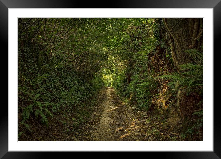  Light at the end of the tunnel Framed Mounted Print by David Oxtaby  ARPS