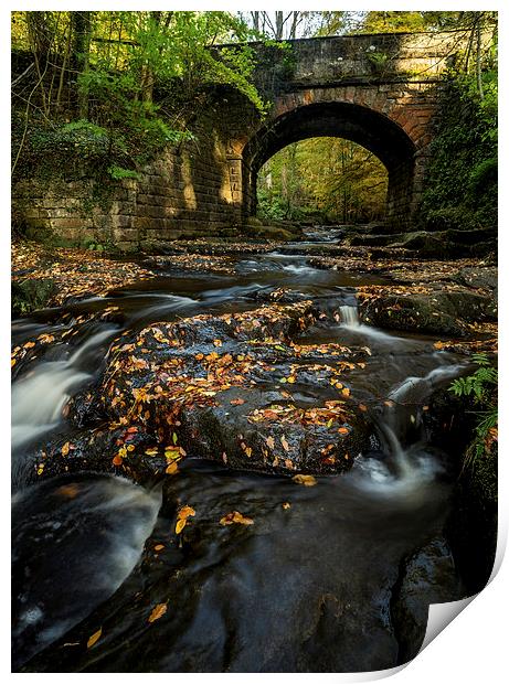 Maybeck Bridge, North Yorkshire Print by Dave Hudspeth Landscape Photography