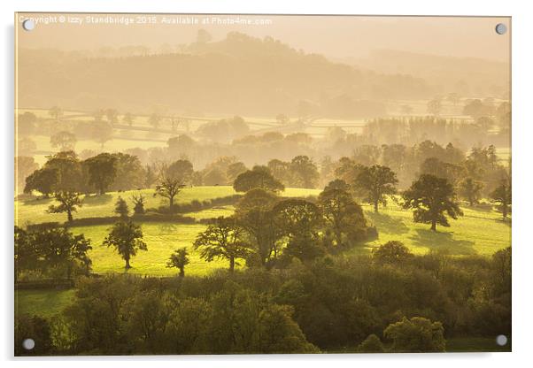  Autumn light on Welsh Countryside Acrylic by Izzy Standbridge
