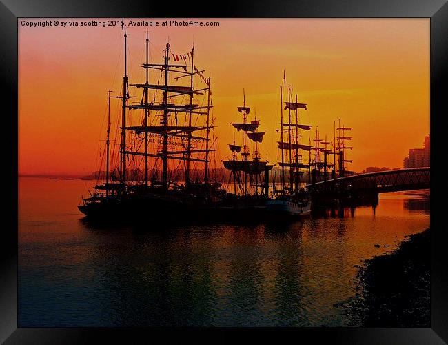 Tall ships at sunrise  Framed Print by sylvia scotting