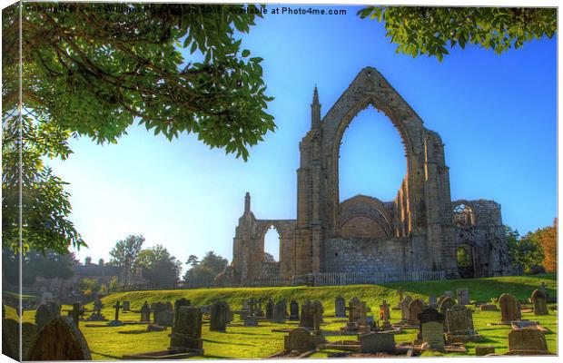    Bolton Abbey 4 Canvas Print by Colin Williams Photography