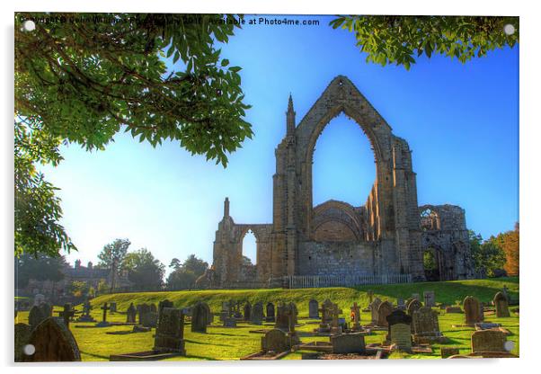    Bolton Abbey 4 Acrylic by Colin Williams Photography