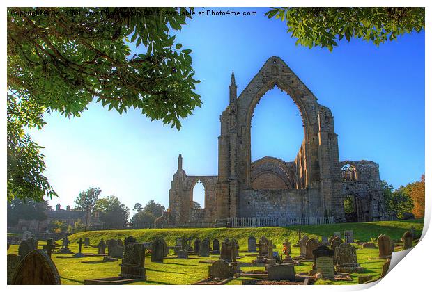    Bolton Abbey 4 Print by Colin Williams Photography