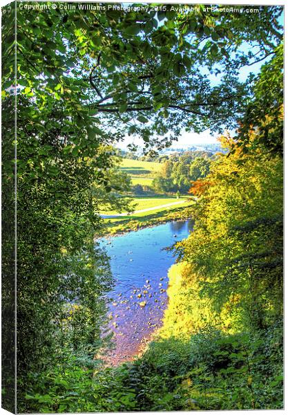  The River Wharf Bolton Abbey Canvas Print by Colin Williams Photography