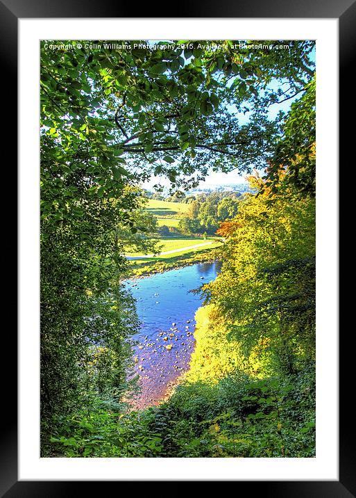  The River Wharf Bolton Abbey Framed Mounted Print by Colin Williams Photography