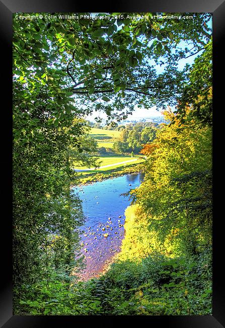  The River Wharf Bolton Abbey Framed Print by Colin Williams Photography