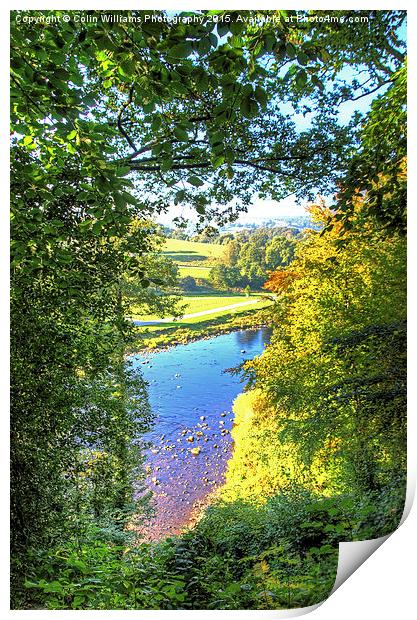  The River Wharf Bolton Abbey Print by Colin Williams Photography