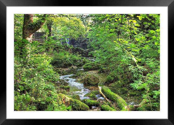  Gordale Beck And  Janets Foss Framed Mounted Print by Colin Williams Photography