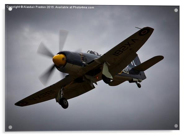  Hawker Sea Fury Acrylic by Alasdair Preston