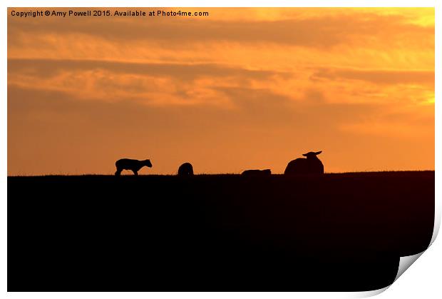  Lambing Season Print by Amy Powell