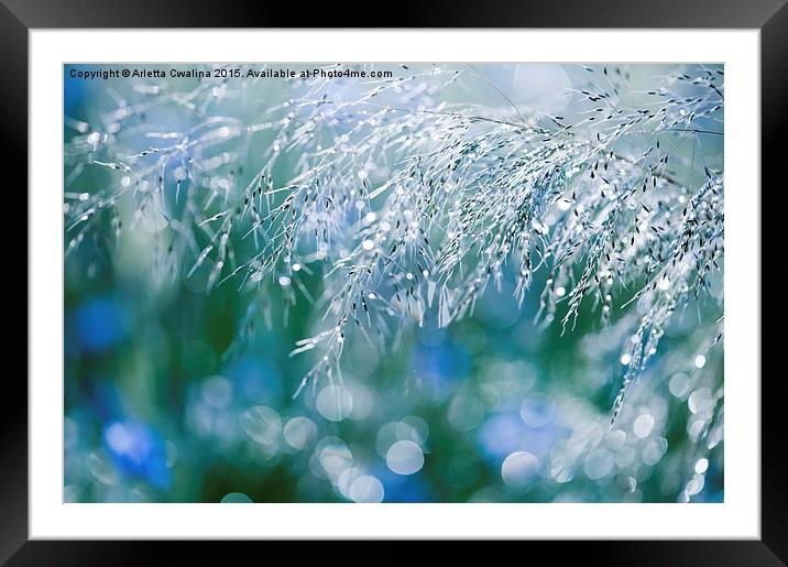 Blue green grass shining Framed Mounted Print by Arletta Cwalina