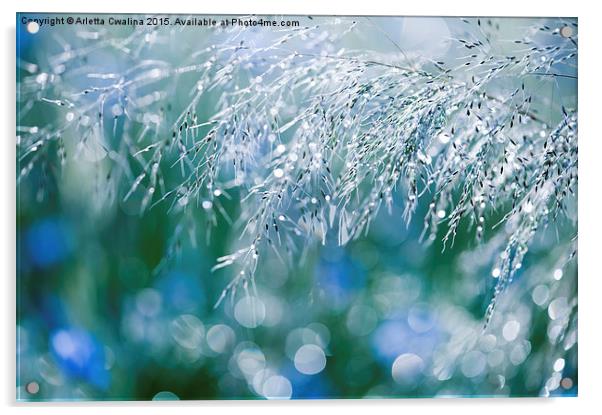Blue green grass shining Acrylic by Arletta Cwalina