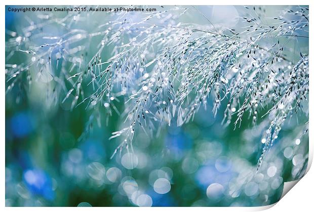 Blue green grass shining Print by Arletta Cwalina