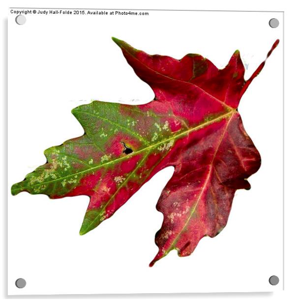  Fall Leaf Acrylic by Judy Hall-Folde