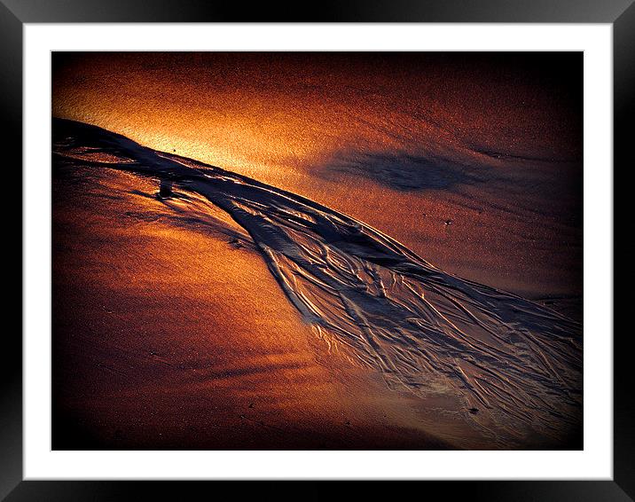  Golden Sand Framed Mounted Print by Laura McGlinn Photog