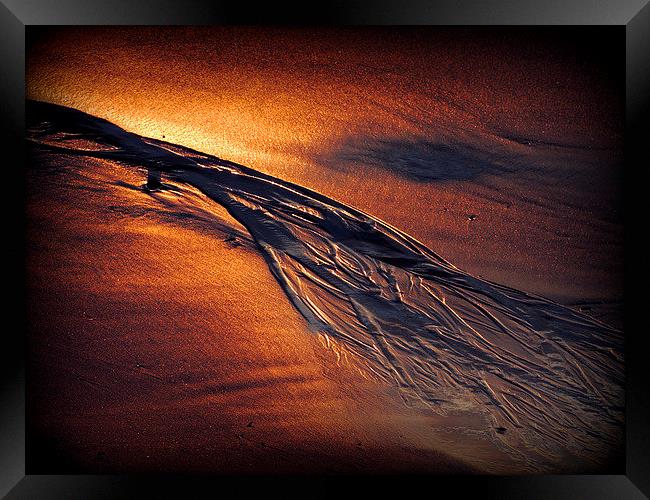  Golden Sand Framed Print by Laura McGlinn Photog