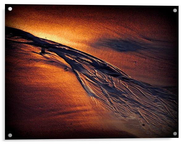  Golden Sand Acrylic by Laura McGlinn Photog