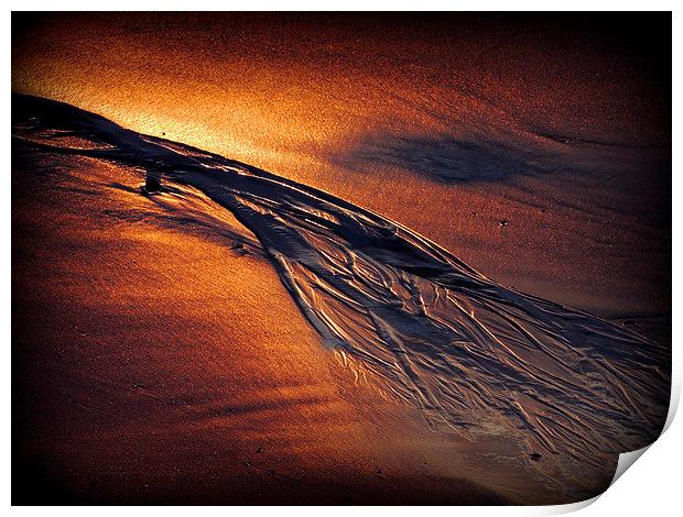  Golden Sand Print by Laura McGlinn Photog