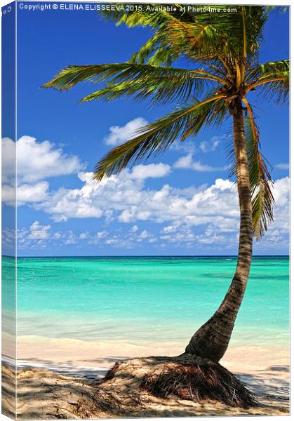 Palm tree on tropical island beach Canvas Print by ELENA ELISSEEVA