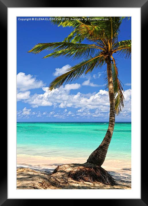 Palm tree on tropical island beach Framed Mounted Print by ELENA ELISSEEVA
