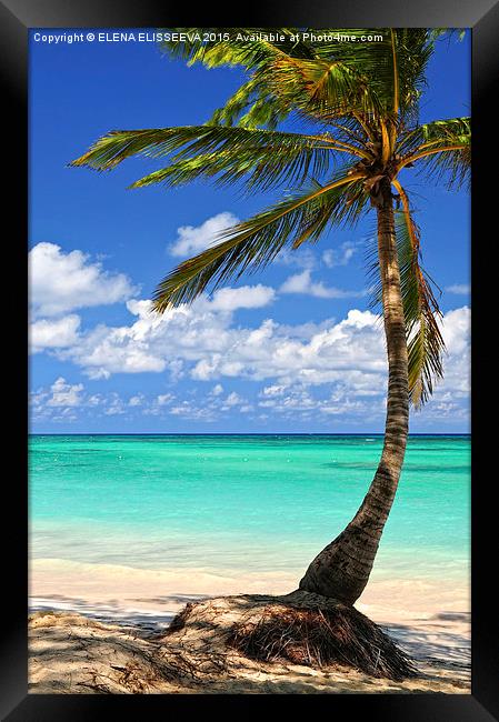 Palm tree on tropical island beach Framed Print by ELENA ELISSEEVA