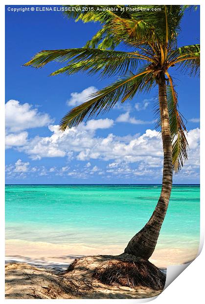 Palm tree on tropical island beach Print by ELENA ELISSEEVA