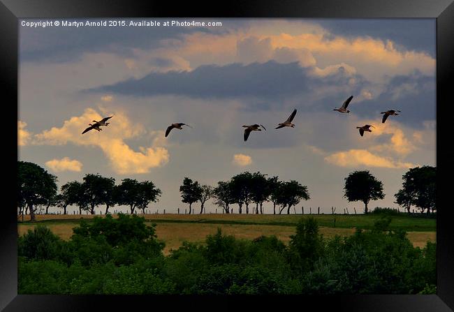 The End of the Day Framed Print by Martyn Arnold