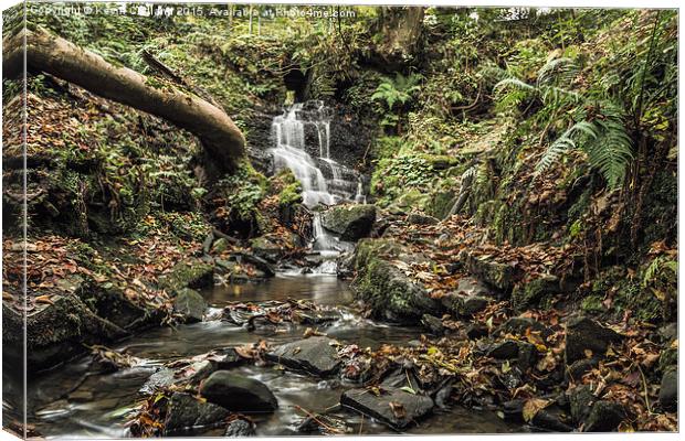  Waterfall at The Fairy Glen Canvas Print by Kevin Clelland