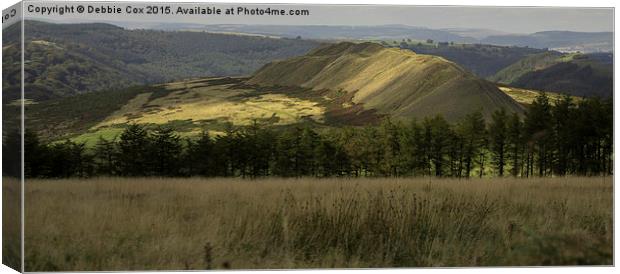 The view from the summit of Machen mountain Canvas Print by Debbie Cox
