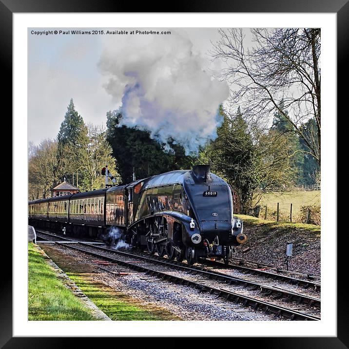 Bittern Leaving Crowcombe Heathfield 2 Framed Mounted Print by Paul Williams